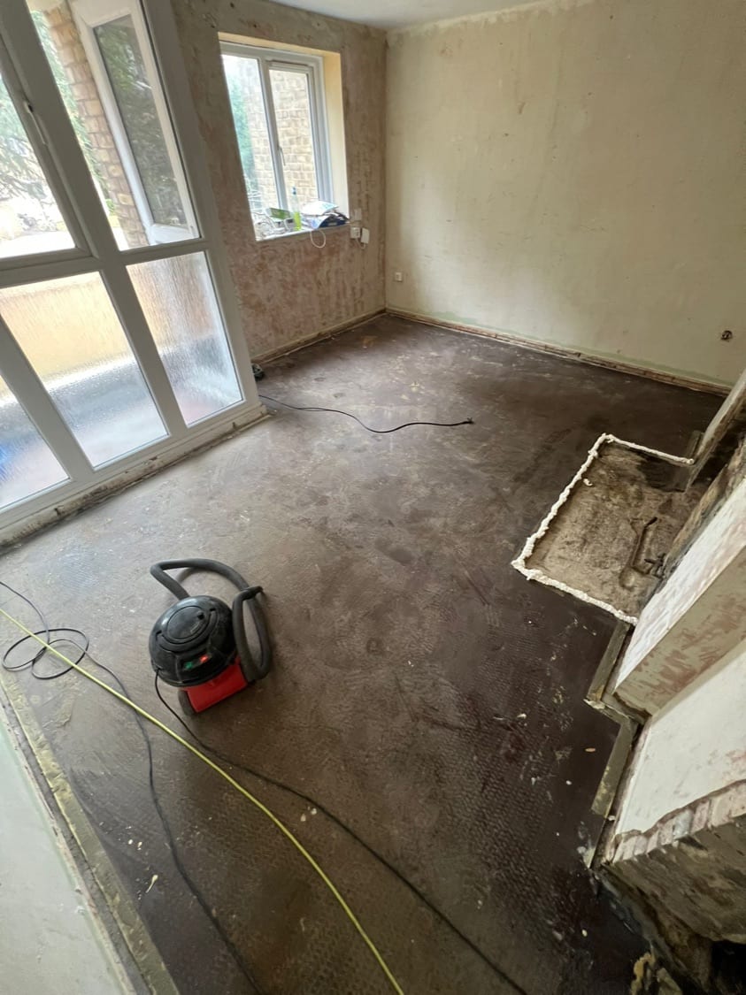 Strip-Out Done, Asbestos Survey Back: Our Innes Gardens Refurb, One Week On