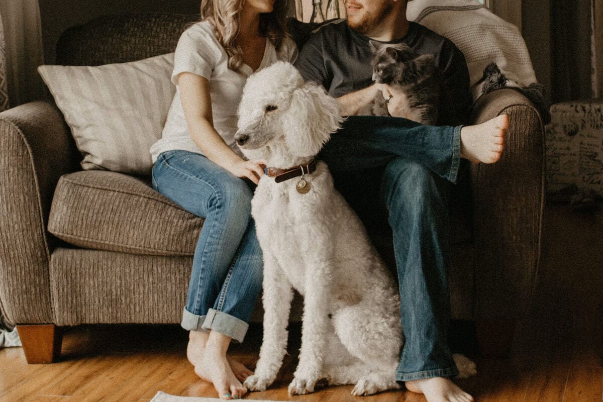 Tenant with a dog in a rental apartment